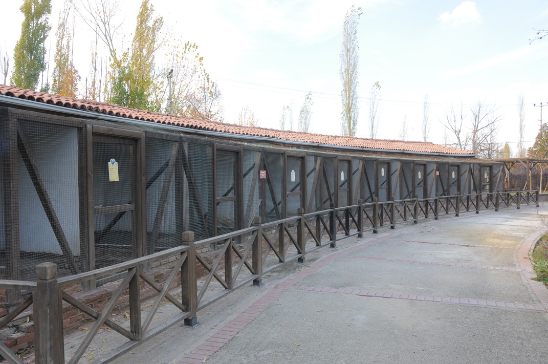 Yeşil Alan ve Yürüyüş